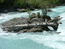 Река Аксу - River Aksu
